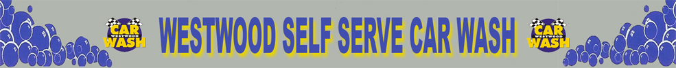Header Graphic